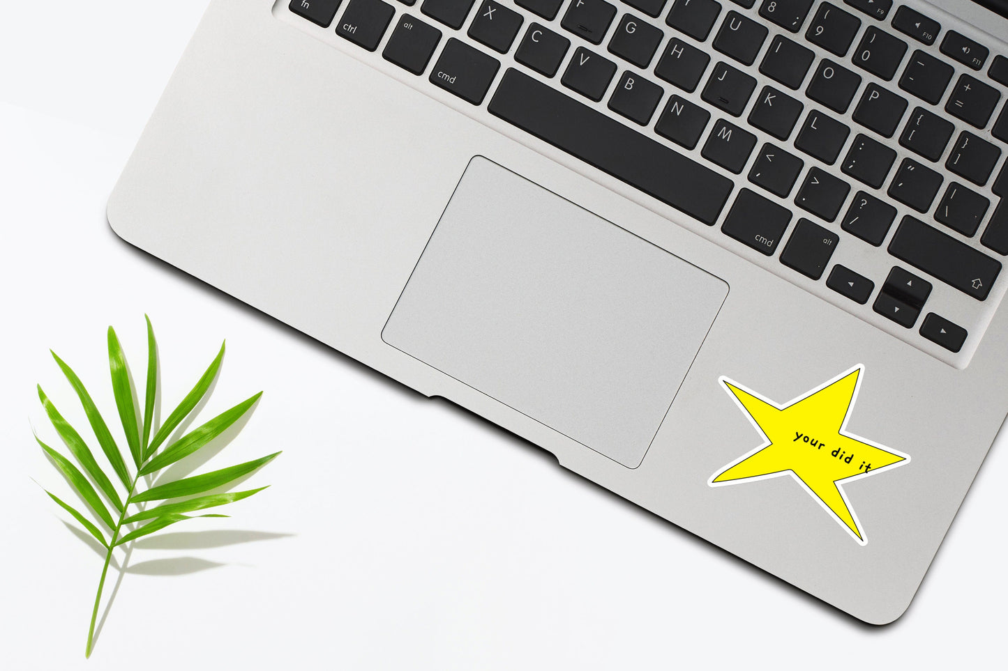 Your Did It Star Meme Vinyl Sticker, Meme Sticker, Funny Sticker, Waterproof Sticker, Hydroflask Sticker, Laptop Sticker, Tumbler Sticker
