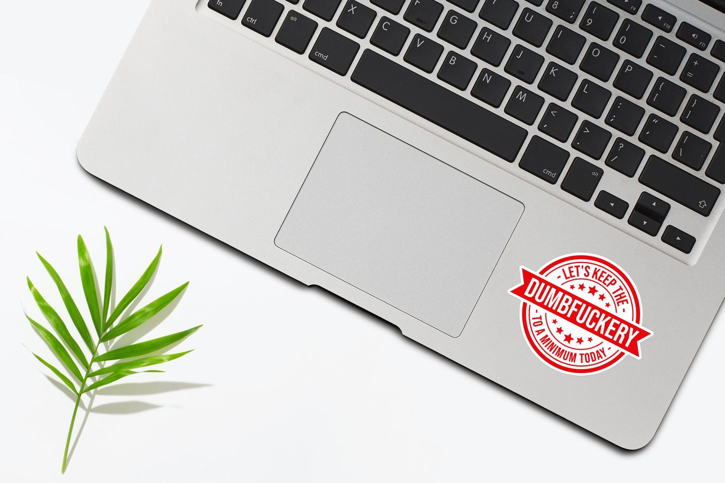 Dumbf*ckery Sticker, Funny Sticker, Meme Sticker, Sarcastic Sticker, Waterproof Durable Vinyl Sticker, Car Sticker, Laptop Sticker