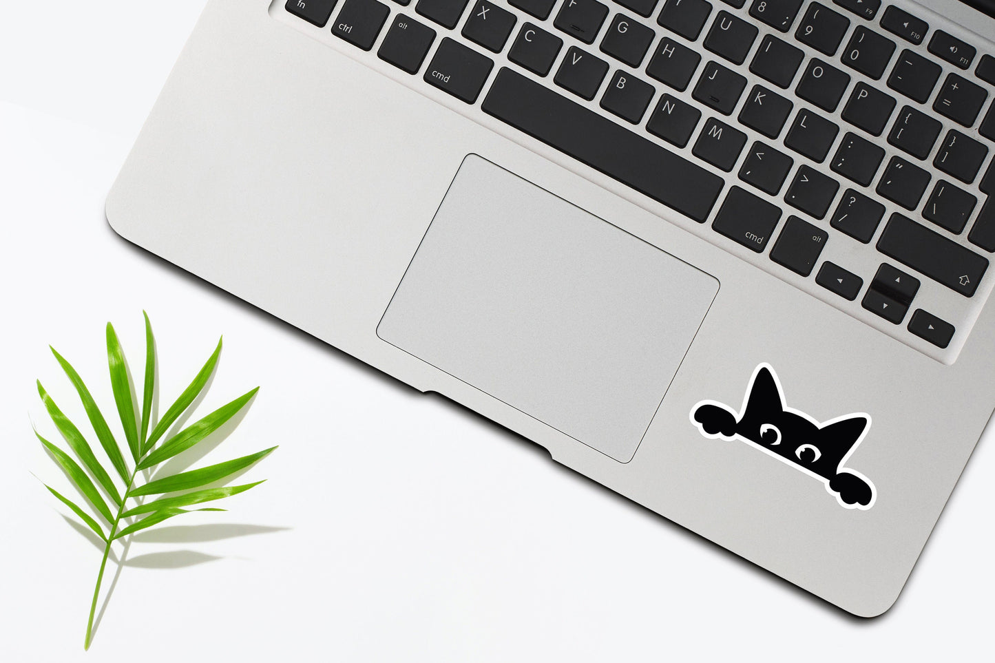 Peeking Cat Vinyl Sticker, Funny Cat Sticker, Meme Sticker, Car Sticker, Bumper Sticker, Cat Mom Decal, Black Cat Sticker,Waterproof Sticker
