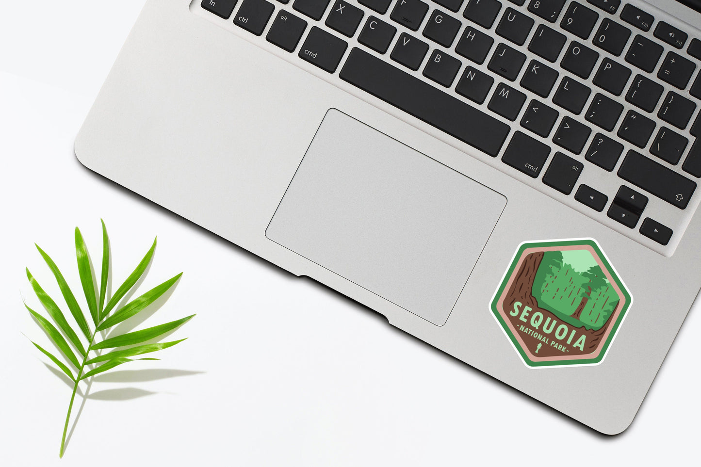 Sequoia National Park Explorer Sticker