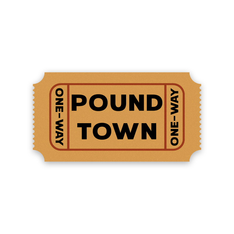 One-Way Ticket To Pound Town Ticket Sticker