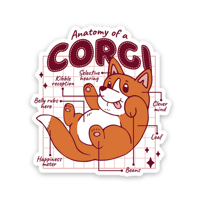 Anatomy Of A Corgi Sticker