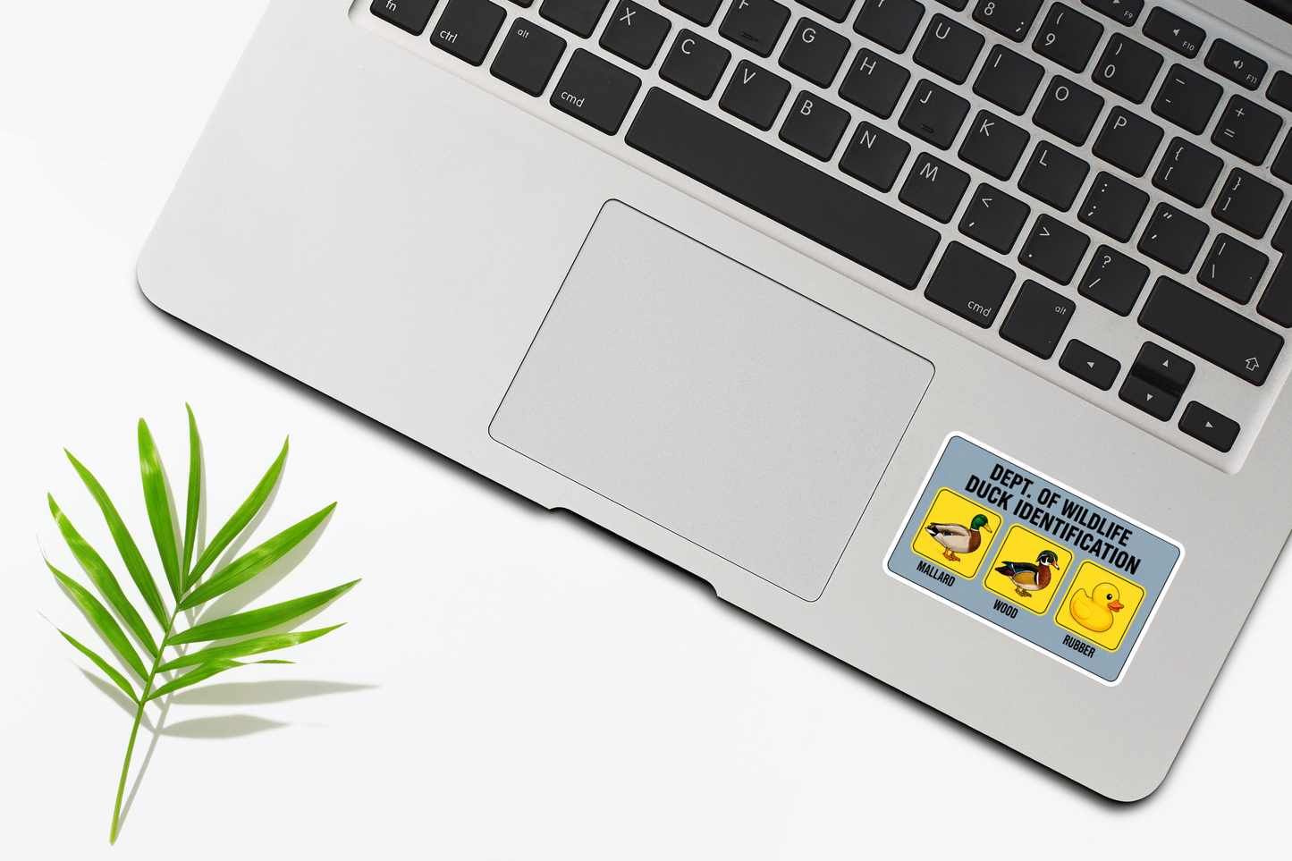 Duck Identification Sticker