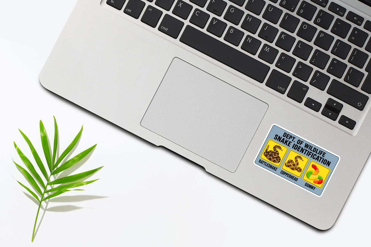 Snake Identification Sticker