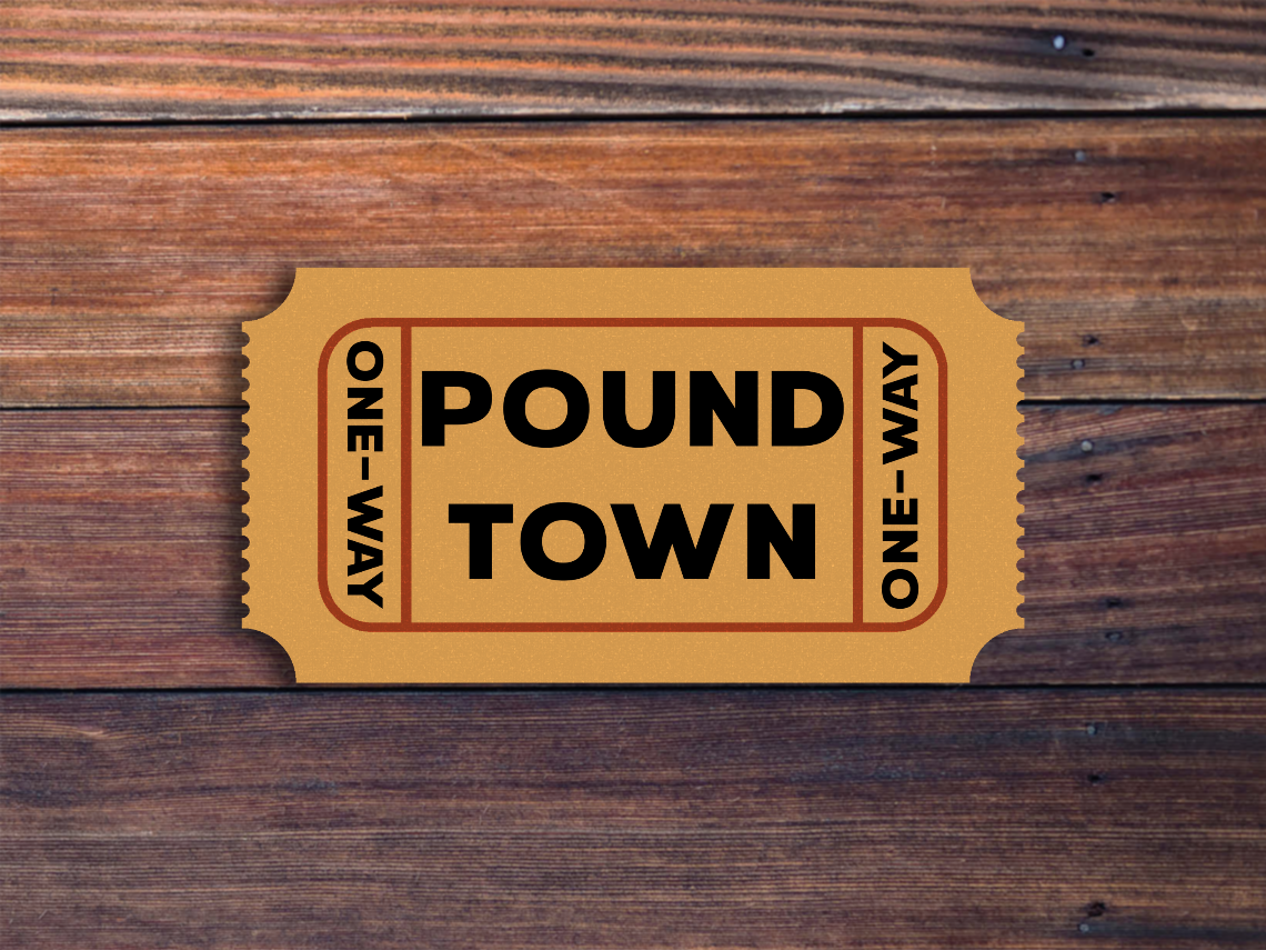 One-Way Ticket To Pound Town Ticket Sticker