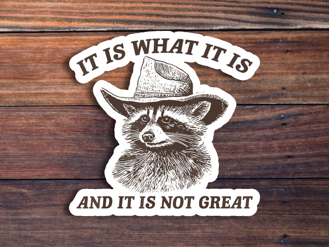It Is What It Is Sticker, Funny Raccoon Meme Sticker Vintage Raccoon Sticker, Millennial, Gen Z Humor, Cute Raccoon,Waterproof Vinyl Sticker