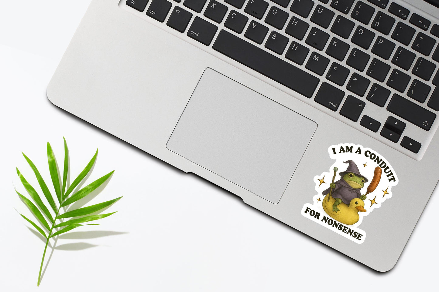 I Am A Conduit For Nonsense Sticker, Funny Frog Wizard Sticker, Meme Sticker, Sarcastic Sticker, Weird Sticker