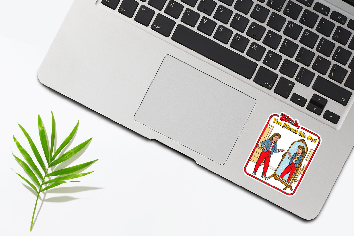 Funny Stress Sticker Bitch You Stress Me Out, Retro 80s Vinyl Decal, Sarcastic Self Care Waterproof Sticker for Laptop, Water Bottle, Car