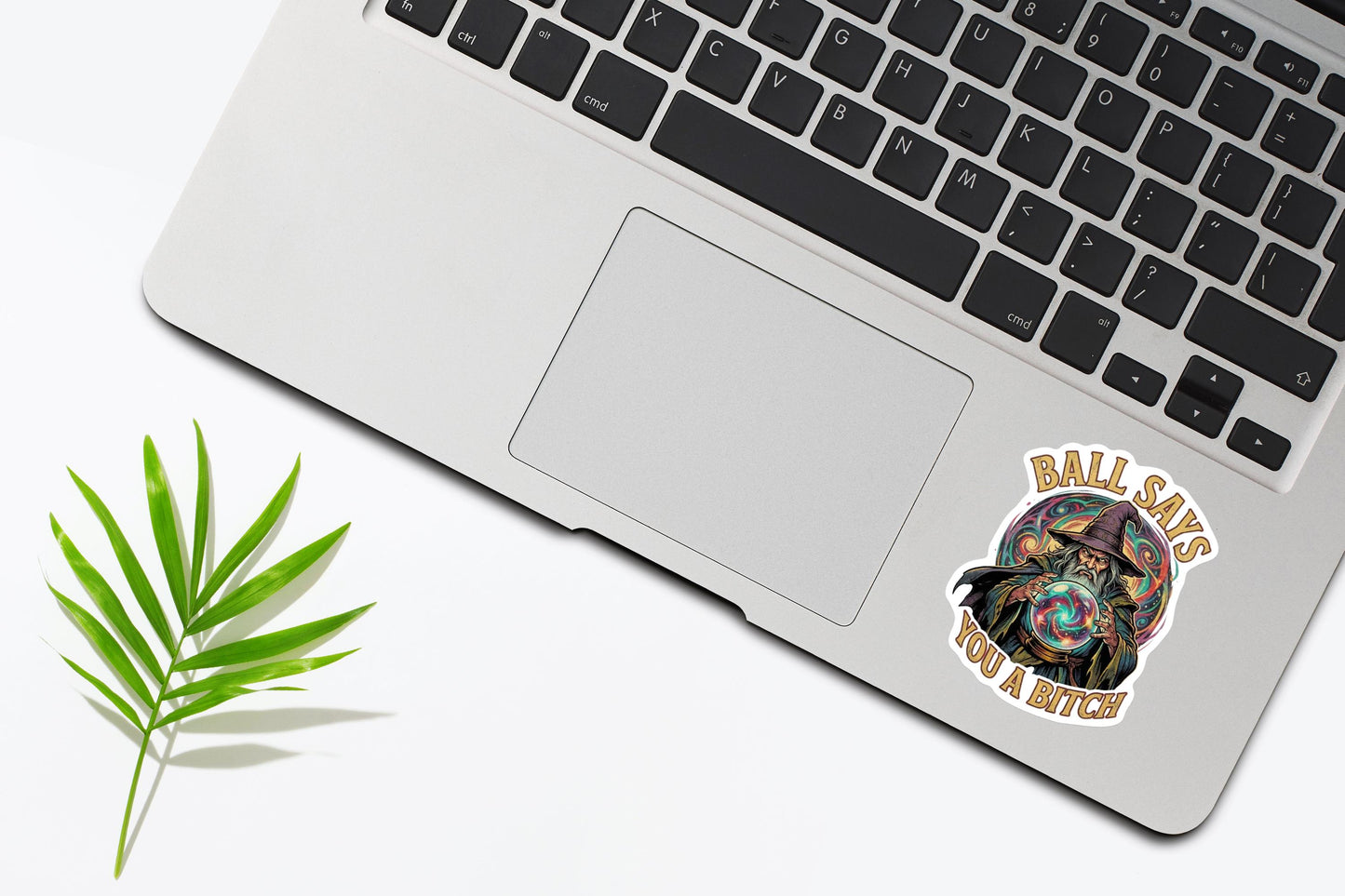 Ball Says You A Bitch Sticker, Funny Sarcastic Wizard Decal